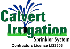 CI-Logo-Lic-Number2